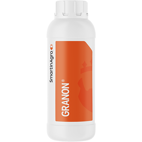 Granon
