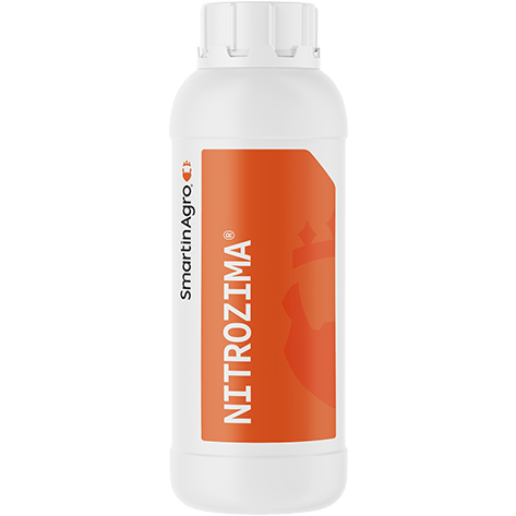NITROZIMA