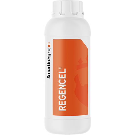 Regencel