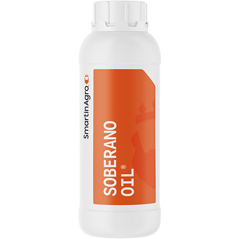 Soberano Oil